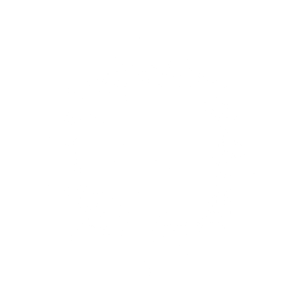 No Saints